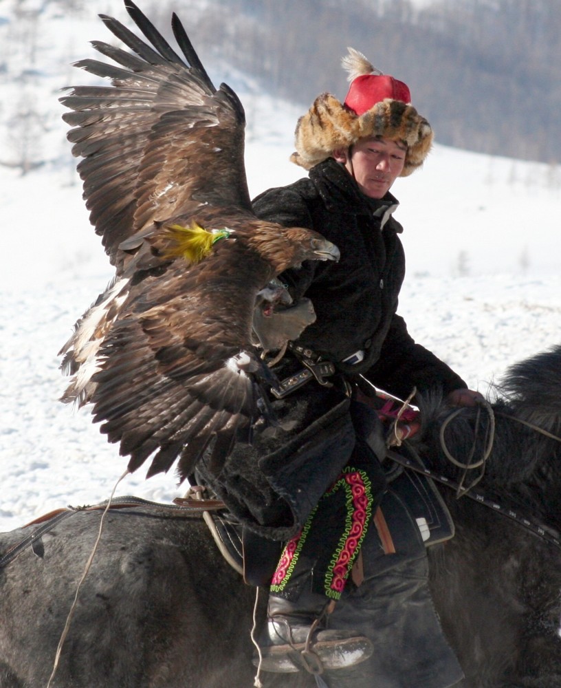 Eagle Horse